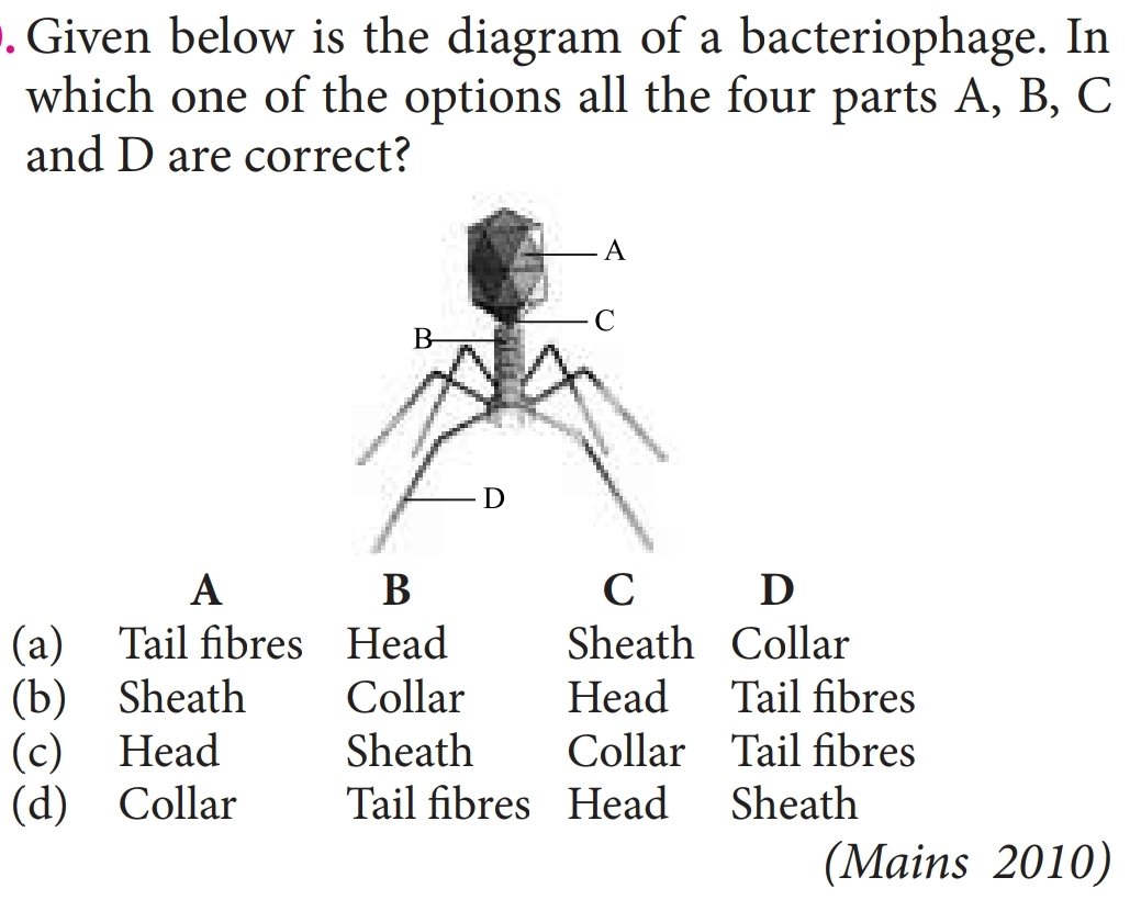 Question Image