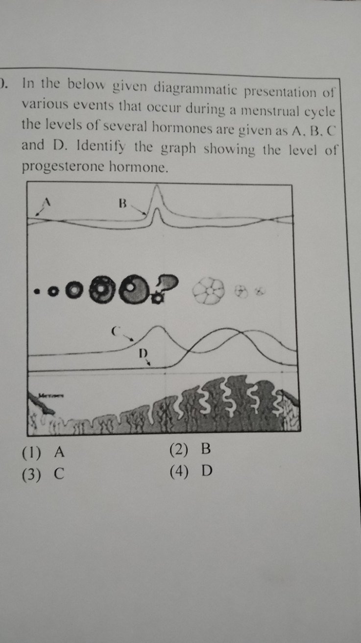 Question Image