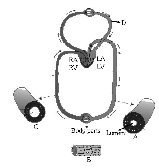 Question Image